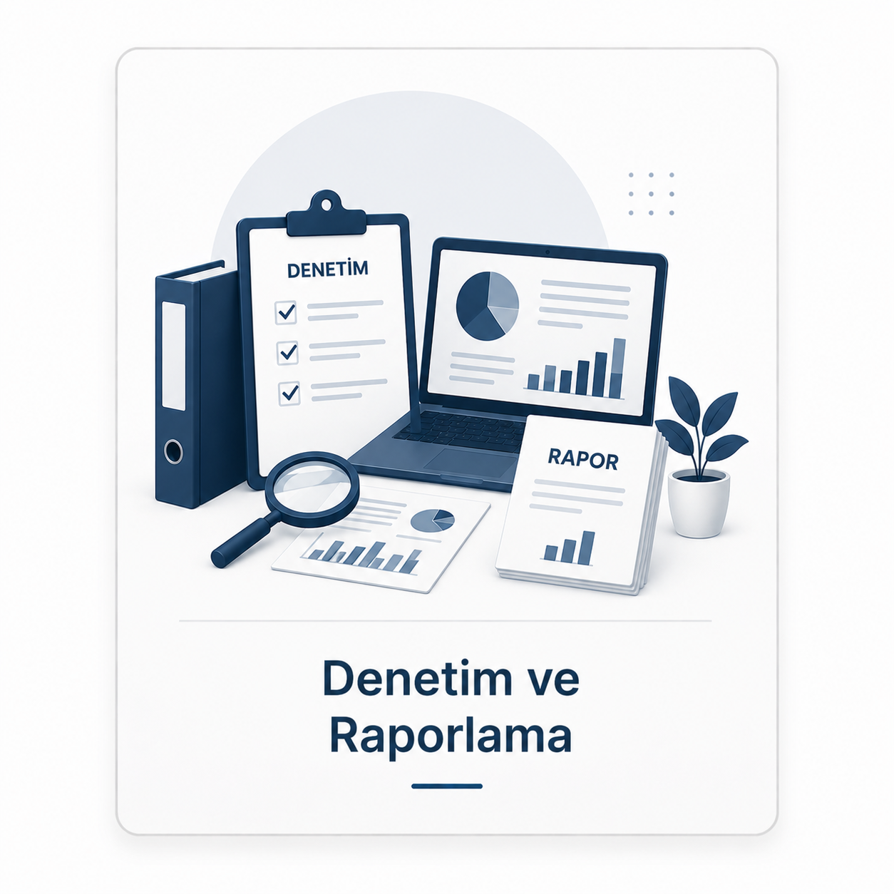 Denetim ve Raporlama Hizmetleri